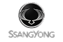 Логотип SsangYong